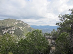 Au fond le Pic St Loup