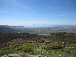 MERCREDI 08 MAI 2013