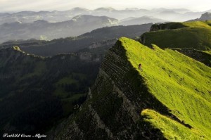 1379557_566636826706797_1860205434_n